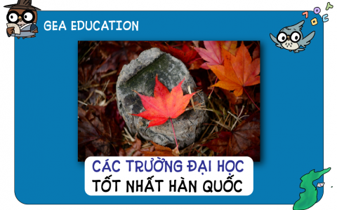 Các Trường Đại Học Tốt Nhất Hàn Quốc 2024 