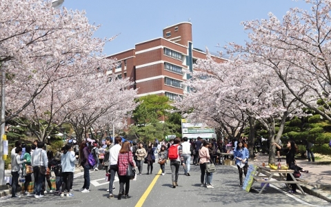 Du học Hàn Quốc - Nên nhập học tháng 3 hay tháng 9?