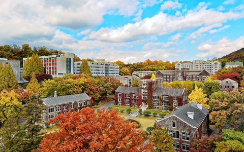 [TOP SKY] Đại học YONSEI - 연세대학교